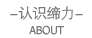 ��ʶ�������˽����